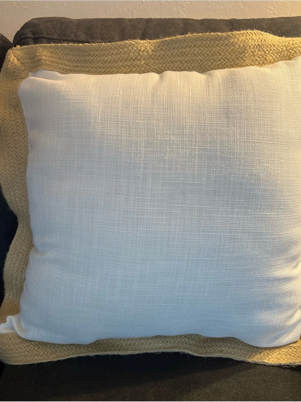 Coastal Seahorse Decorative Pillow - Beige & Aqua 20”x20” Rope Edge